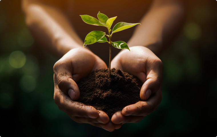 CSR Annual Action Plan