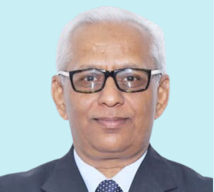 Mr. P. L. Sirsamkar