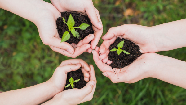 Socio-environmental sustainability 